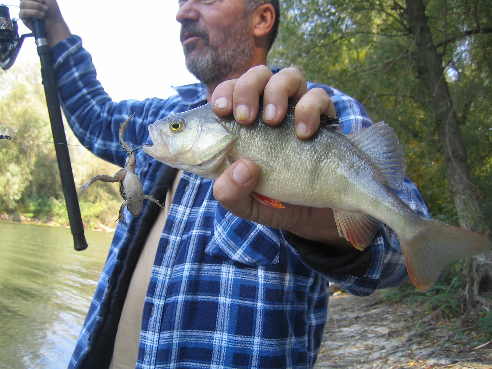 DELTA 2007-2012 - LACOMIA!